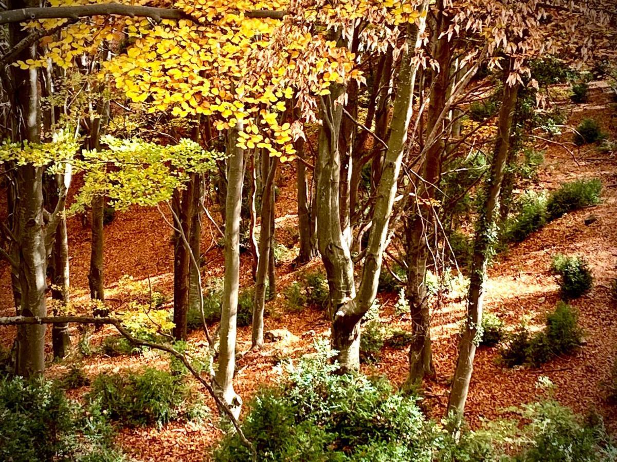 Vila El Refugi De La Torre Espinalbet Castellar del Riu Exteriér fotografie