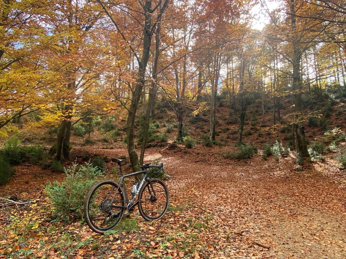 Vila El Refugi De La Torre Espinalbet Castellar del Riu Exteriér fotografie